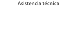 Asistencia técnica